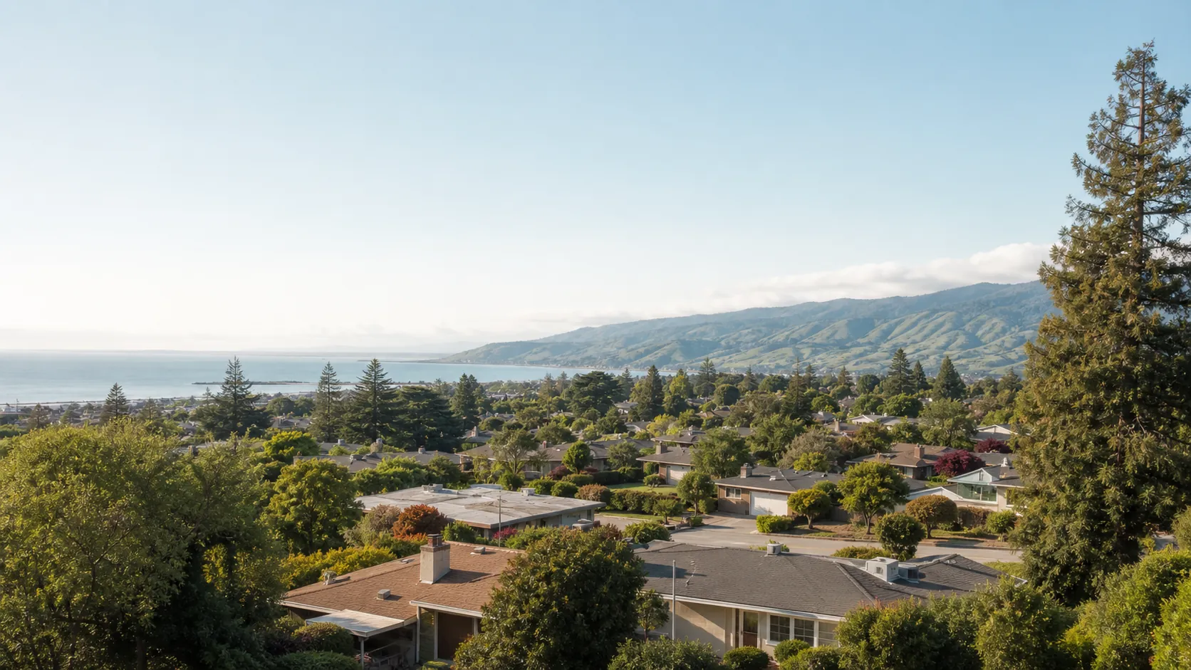 Elevated view of a leafy San Francisco Peninsula residential neighborhood with the bay and coastal hills in the distance